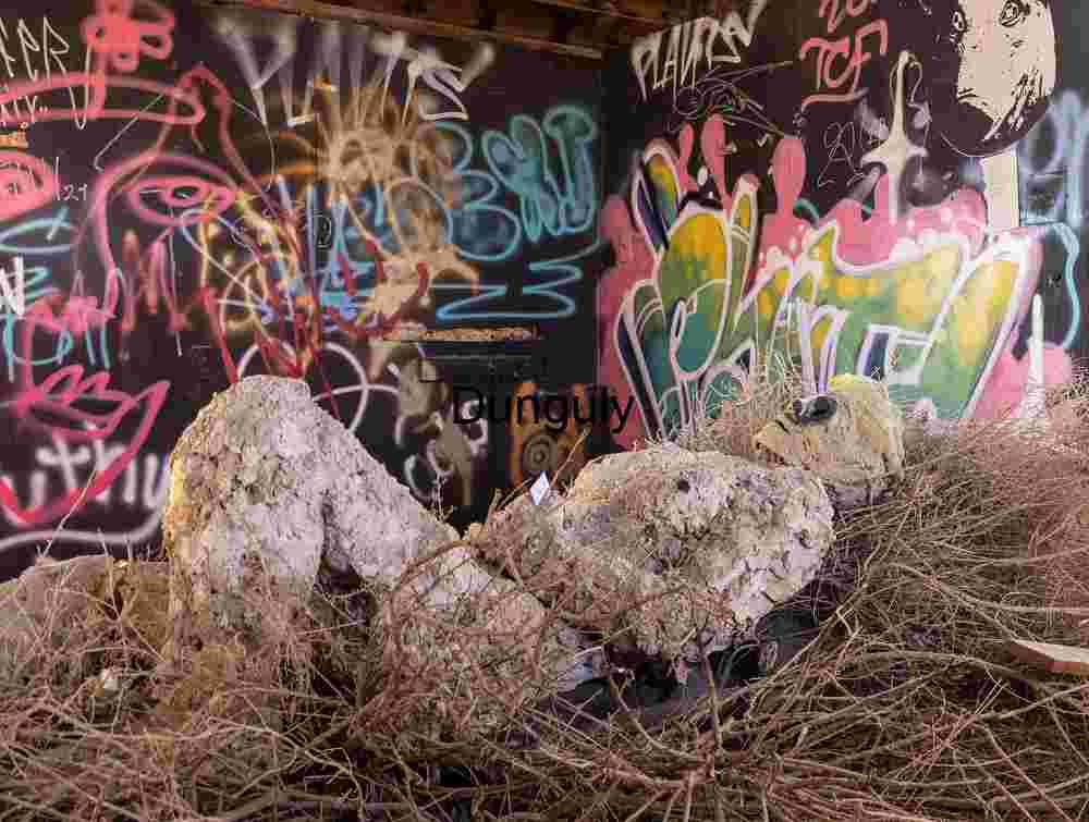 Reclining Ruin: Graffiti and Tumbleweeds in an Abandoned Room