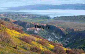 Fogline Horizon: Wildflower Hills Beneath a Shifting Sky