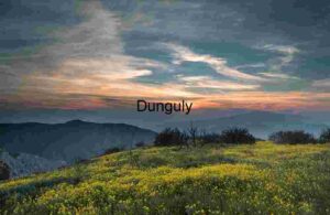 Golden Bloom at Dusk: Wildflower Field Beneath Mountain Light