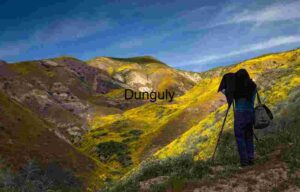 Framed by Nature: Capturing Wildflower Majesty