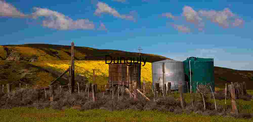Industrial Echoes in Bloom: Silos Amid Wildflower Hills