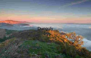 Twilight Watch: Lone Tree Above the Cloud-Laced Valley