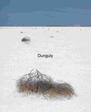Tumbleweed Drift Across a Salt-Laced Plain
