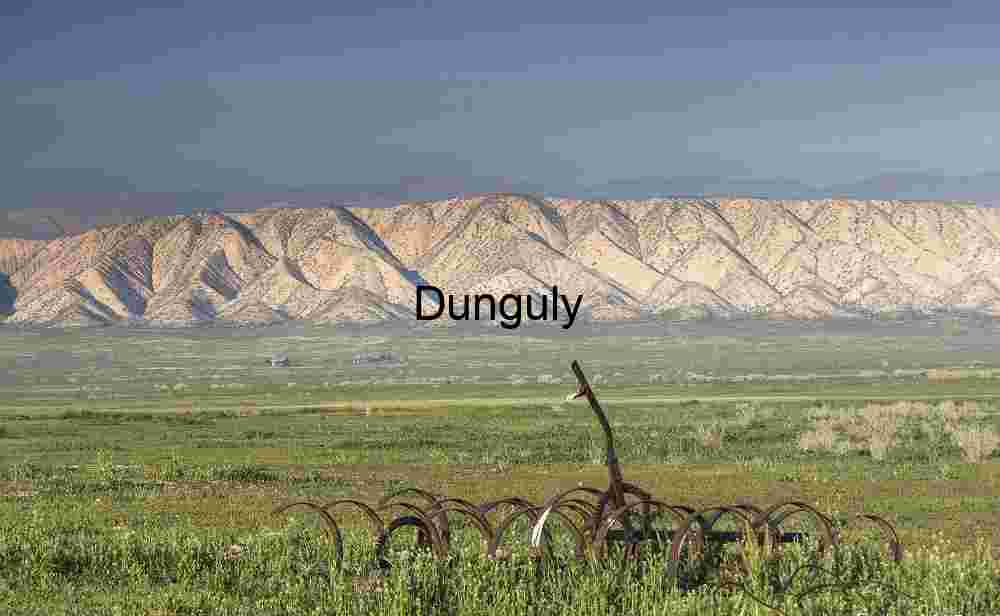 Rust and Reverie: Where Meadows Meet Mountains