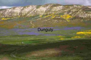 Wildflower Veins: A Path Through Painted Slopes