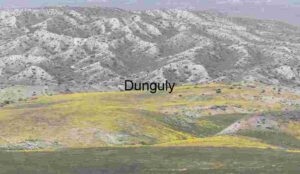 Wildflower Divide: Where Color Meets Stone