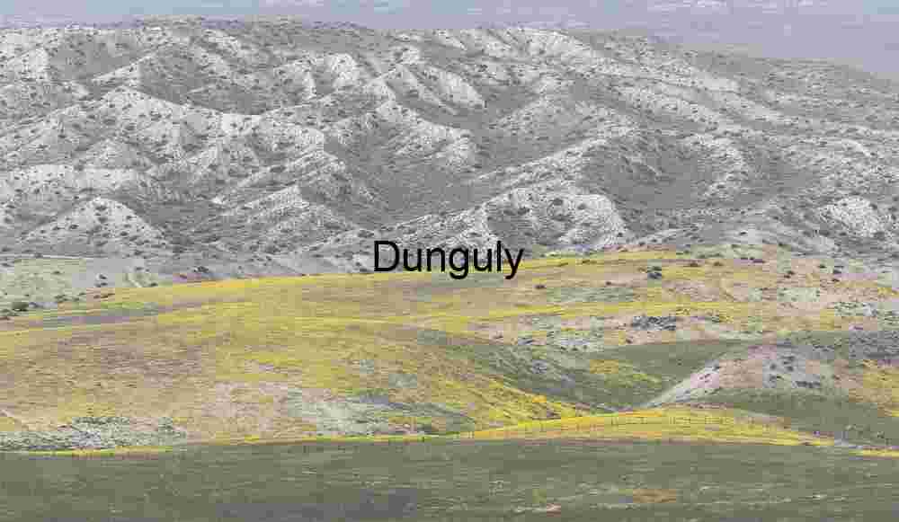 Wildflower Divide: Where Color Meets Stone