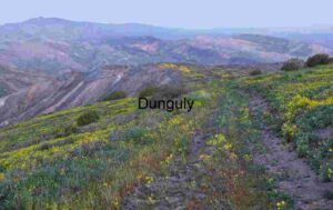 Path Through Bloom: A Journey into Mountain Light