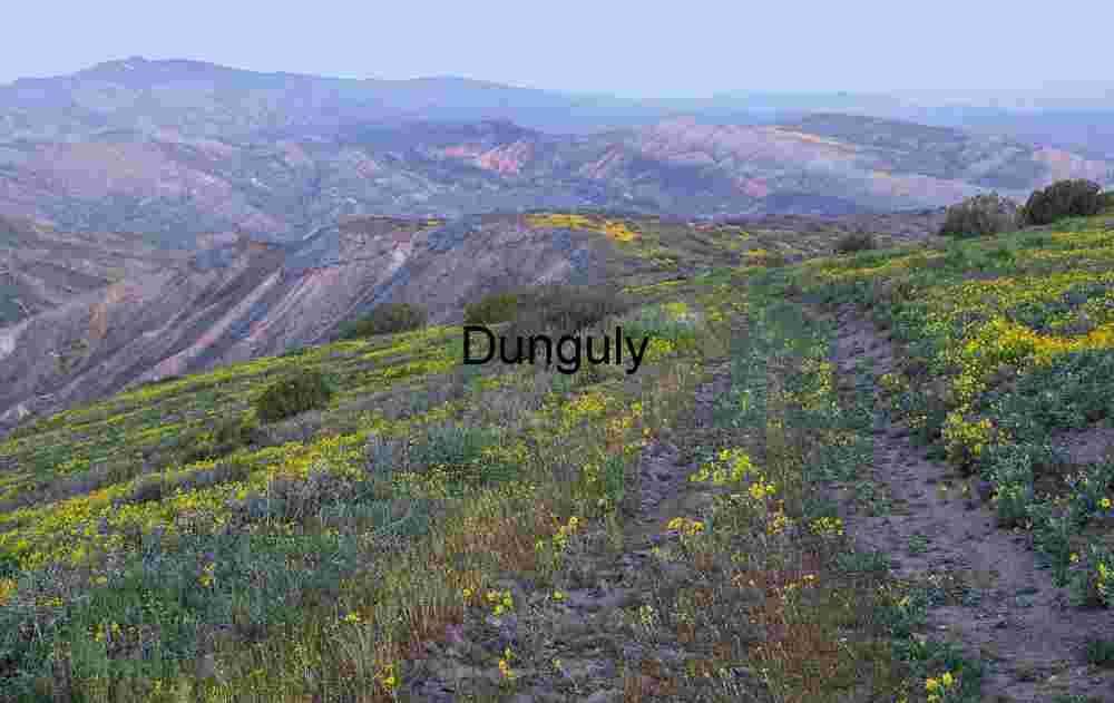 Path Through Bloom: A Journey into Mountain Light