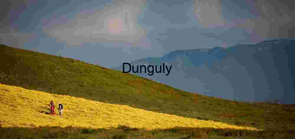 Golden Slopes: Wildflower Walk Beneath Mountain Skies