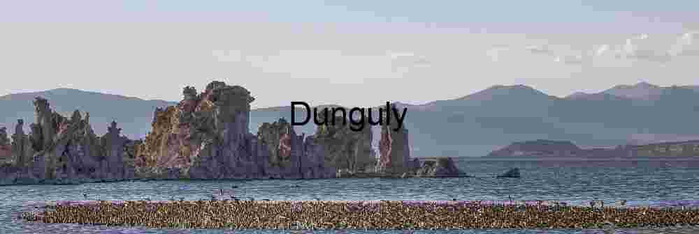 Tufa Assemblage: Mono Lake’s Birds and Mineral Spires