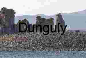 Surge in the Sky: Migratory Flock Over Mono Lake Tufa