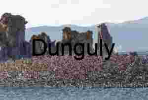 Sky Pulse: Flock in Flight Over Stone and Water