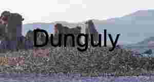 Flight Over Stone: Migratory Birds and Mono Lake Tufa