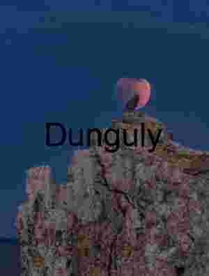 Twilight Perch: Bird Silhouette Against Reddish Moon and Rock Formation