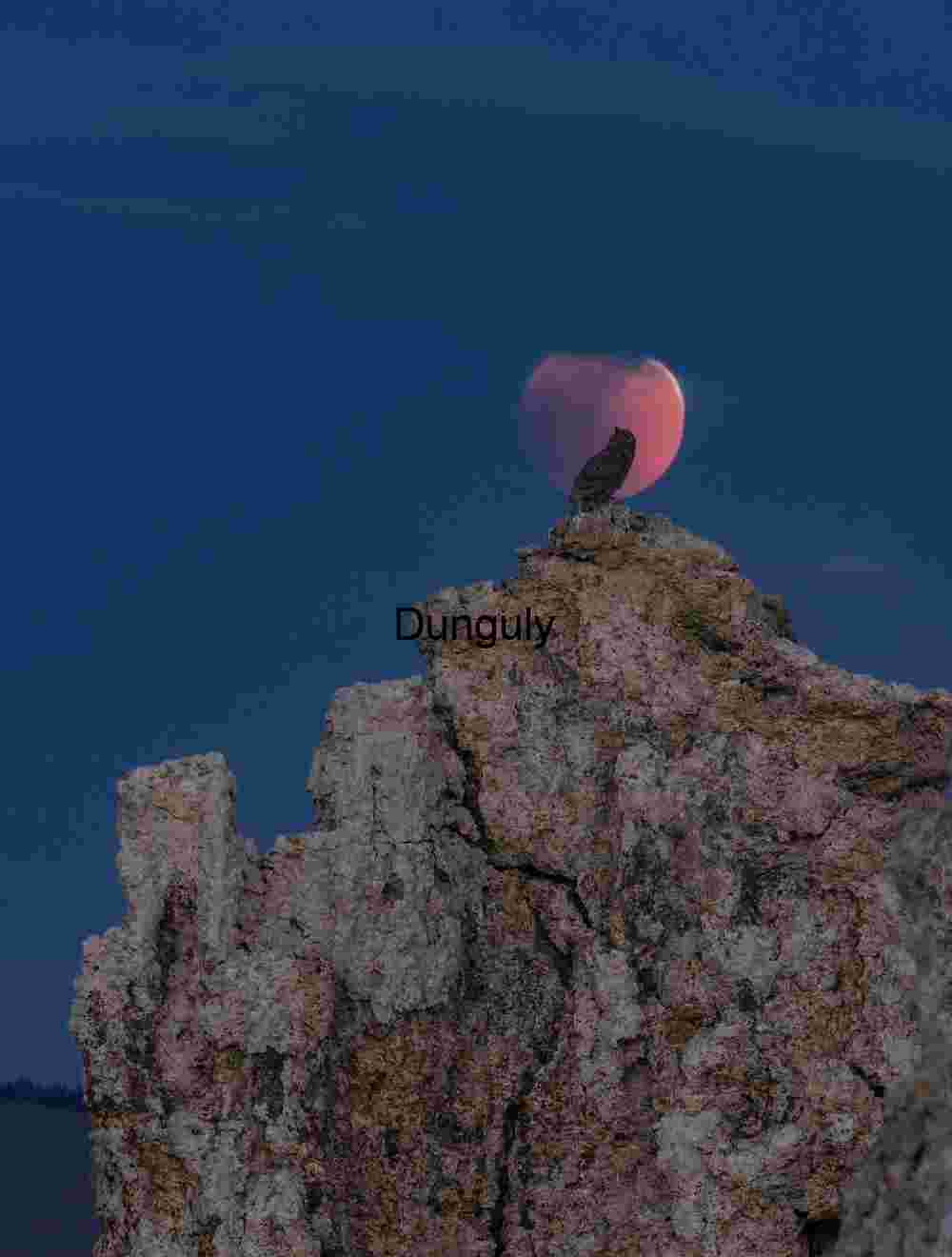 Twilight Perch: Bird Silhouette Against Reddish Moon and Rock Formation