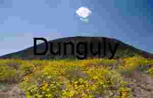 Volcanic Cinder Cone with Blooming Wildflowers Under Clear Sky