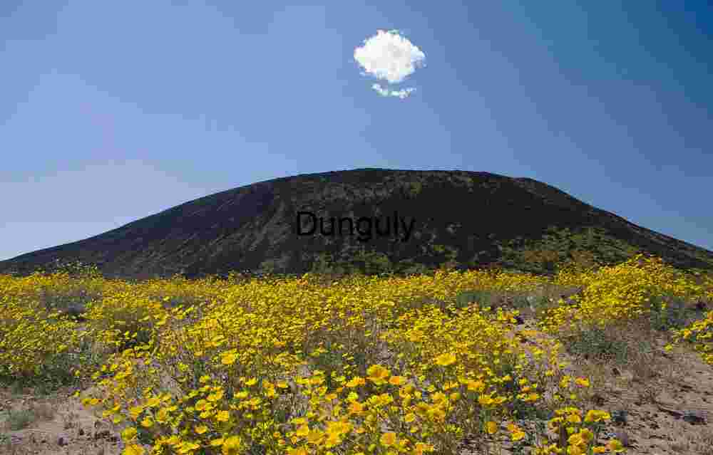 Volcanic Cinder Cone with Blooming Wildflowers Under Clear Sky