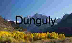 Snow‑Capped Mountains and Autumn Forest Under Clear Blue Sky