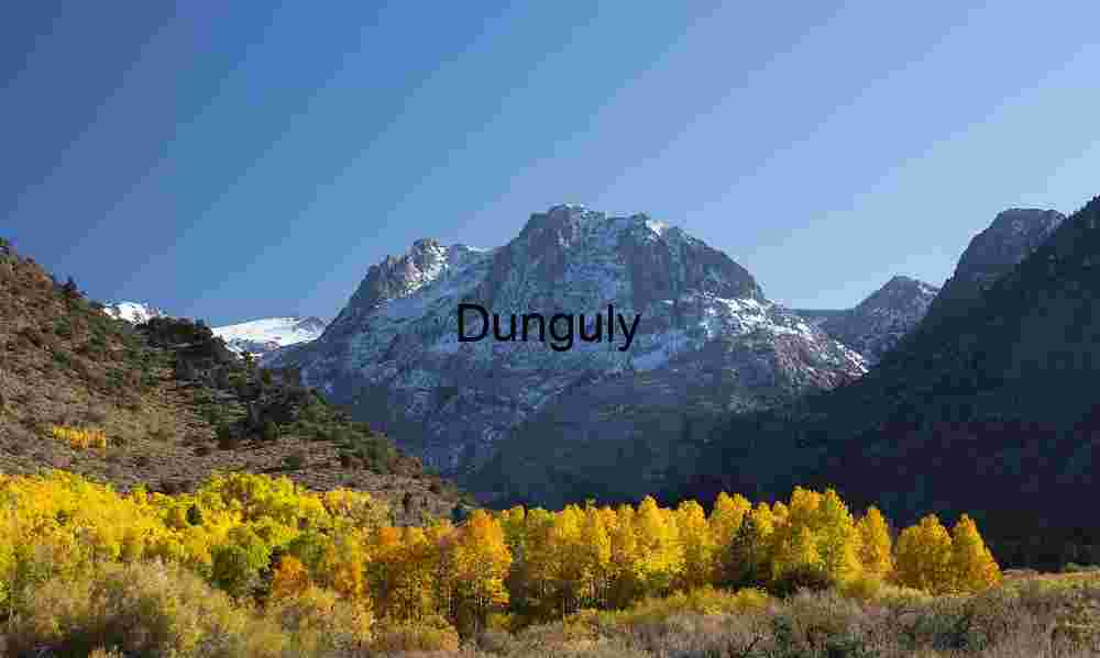Snow‑Capped Mountains and Autumn Forest Under Clear Blue Sky