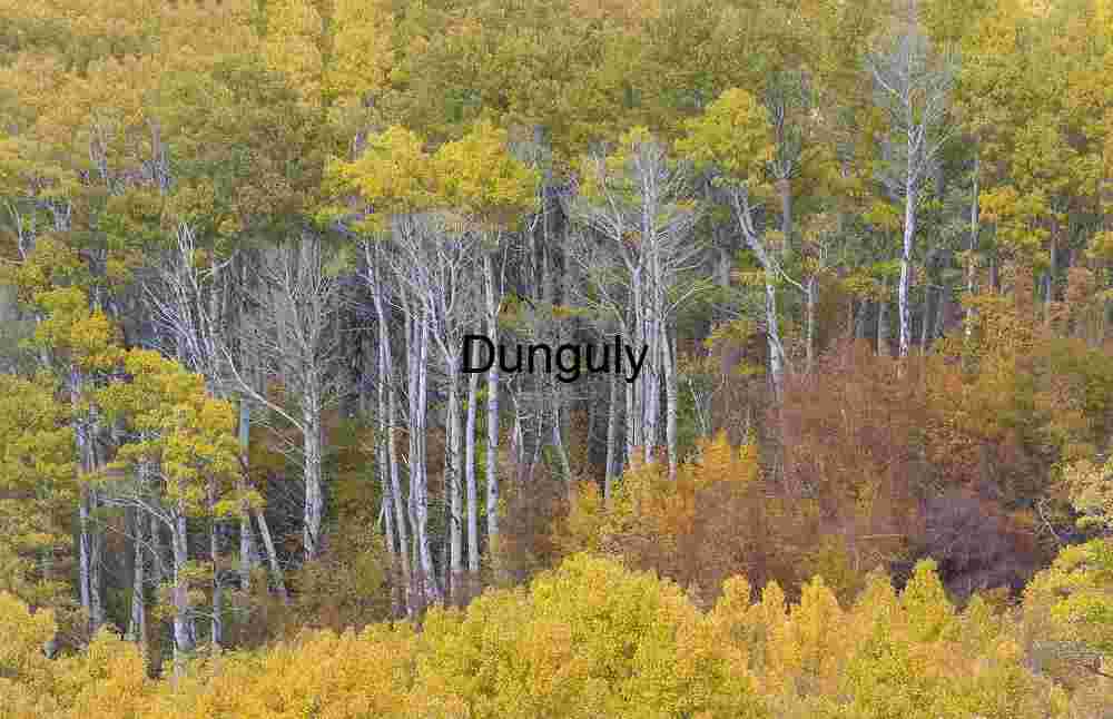 Sunlit Hills and Autumn Foliage Reflected in Serene Lake
