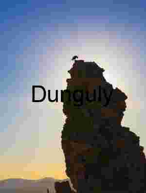 Halo Perch: Silhouette of Solitude at Sunrise