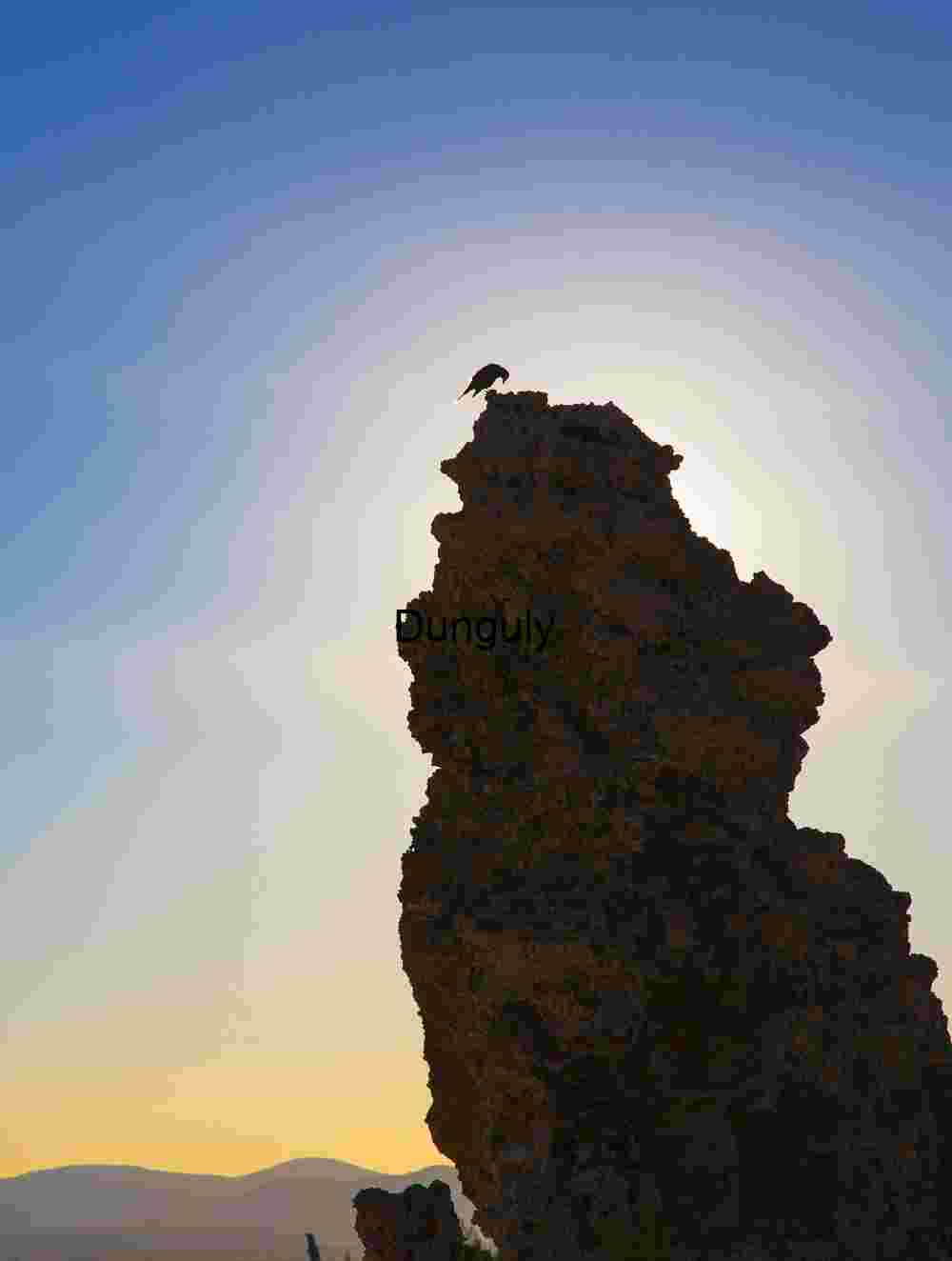 Halo Perch: Silhouette of Solitude at Sunrise