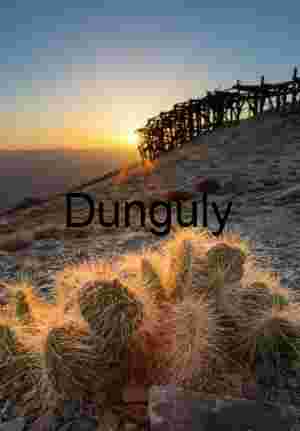 Desert Sunset with Prickly Pear Cactus and Wooden Mining Structure