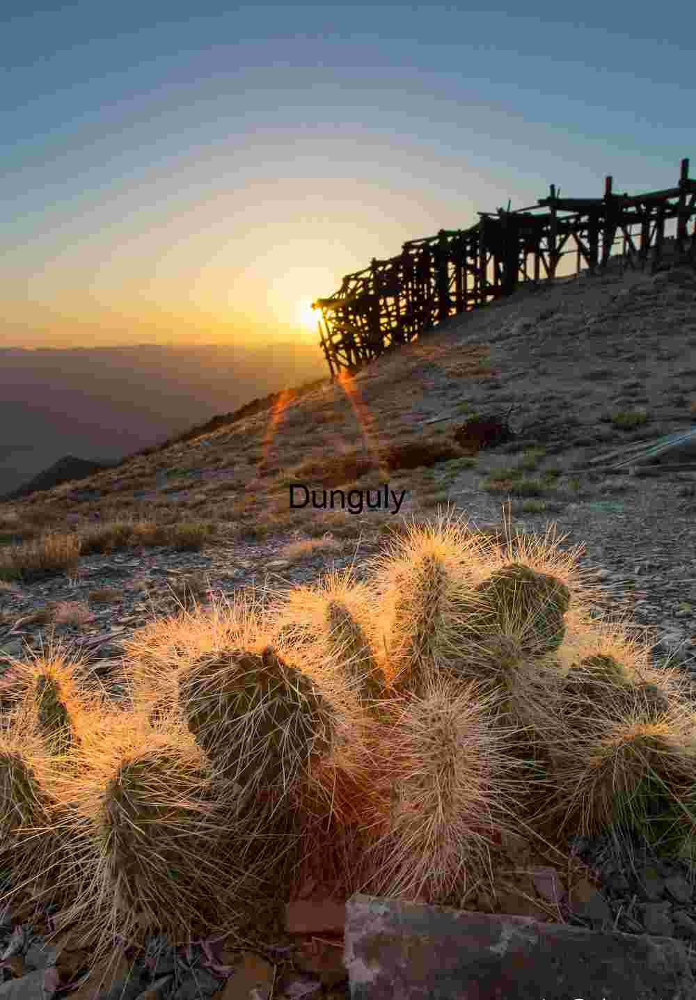 Desert Sunset with Prickly Pear Cactus and Wooden Mining Structure