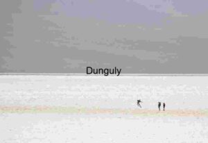 Jumping into Silence: Figures on the Salt Horizon