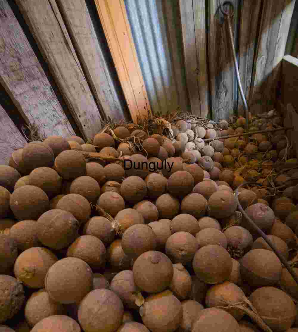 Iron Memory: Forgotten Spheres in a Desert Shed