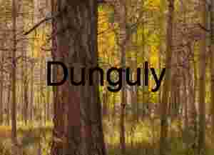 Woodland & Wilderness Scenery