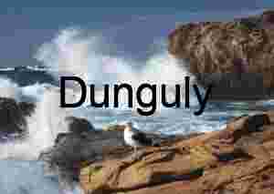 Seagull Sentinel on Rugged Cliffs