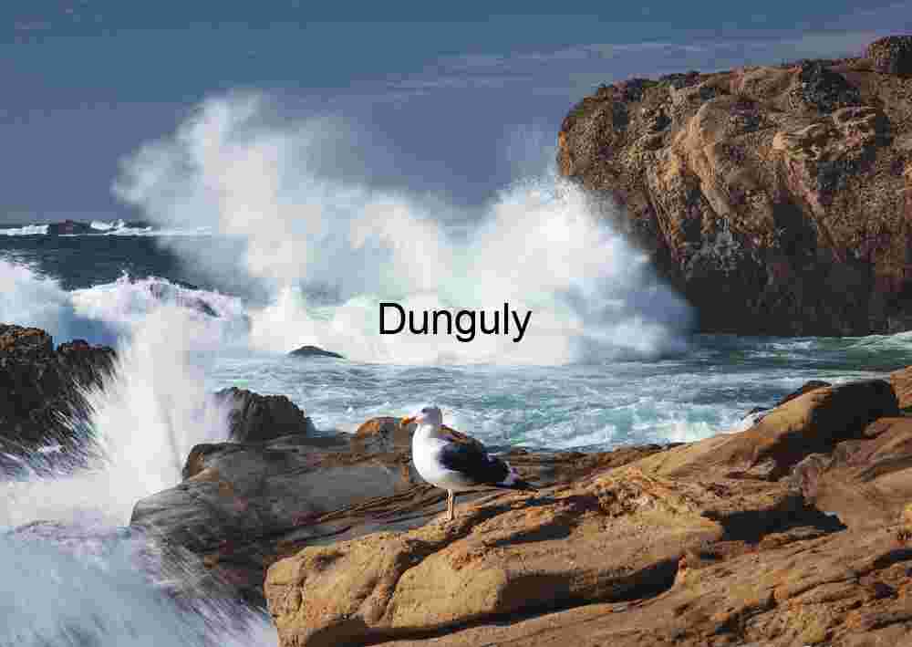 Seagull Sentinel on Rugged Cliffs