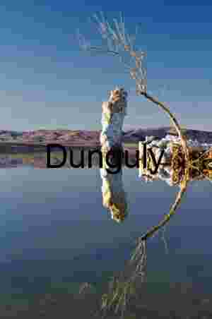 Reflected Silence: Tufa and Branch Beneath a Clear Sky