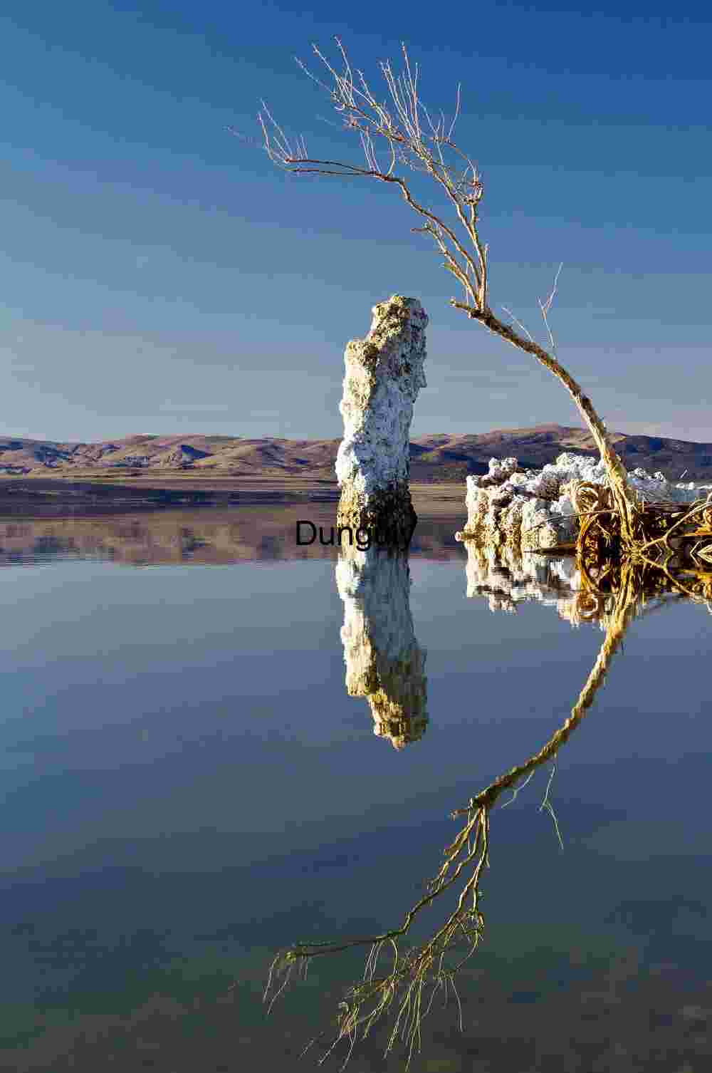Reflected Silence: Tufa and Branch Beneath a Clear Sky