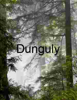 Misty Forest Photography – Atmospheric Nature, Wilderness Landscapes & Editorial Stock Imagery