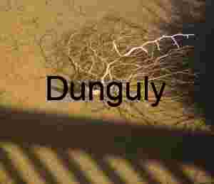 Entangled Stillness: Tumbleweed Beneath the Surface