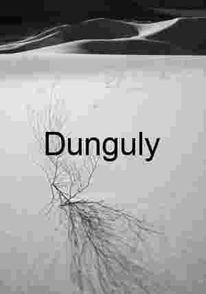 Whispers of Shadows on Eureka Dunes