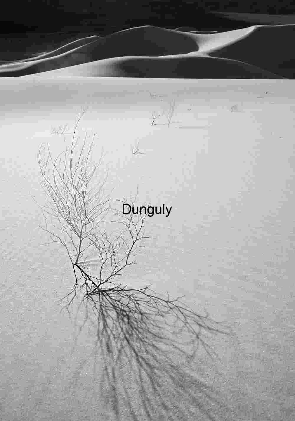 Whispers of Shadows on Eureka Dunes