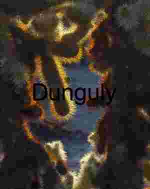 Radiant Armor: Backlit Teddy Bear Cholla in Desert Light