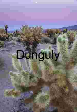 Cholla Cactus with Moon and Earth Shadow – Joshua Tree National Park
