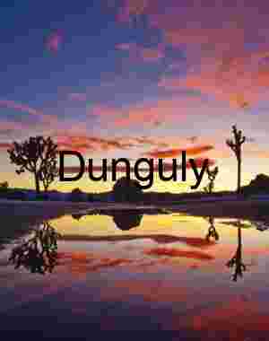 Reflected Dusk: Joshua Trees Beneath a Painted Sky