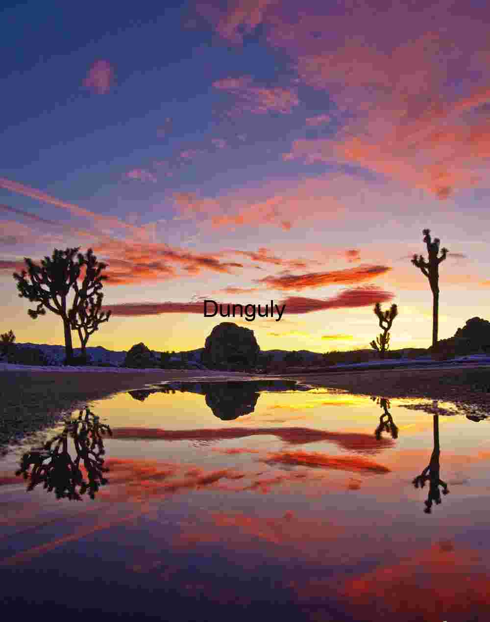 Reflected Dusk: Joshua Trees Beneath a Painted Sky