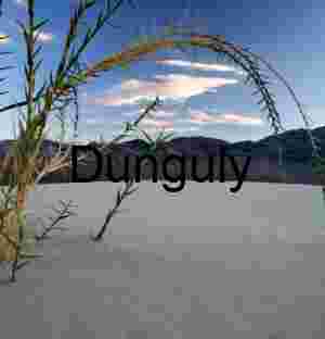 Thorns of Solitude: Life at the Edge of the Flats