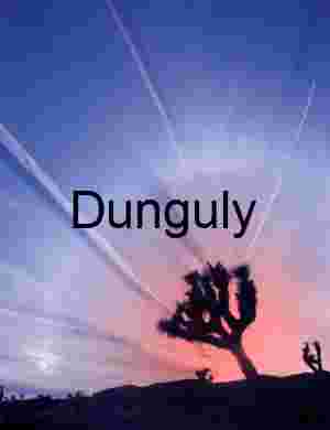 Celestial Trails: Joshua Tree Silhouettes Beneath a Painted Sky