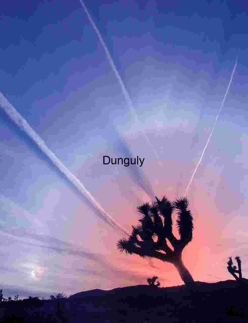 Celestial Trails: Joshua Tree Silhouettes Beneath a Painted Sky