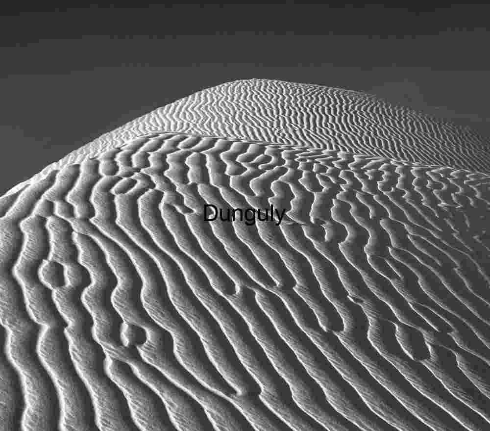 Aeolian Geometry: Wind-Carved Ripples in Monochrome