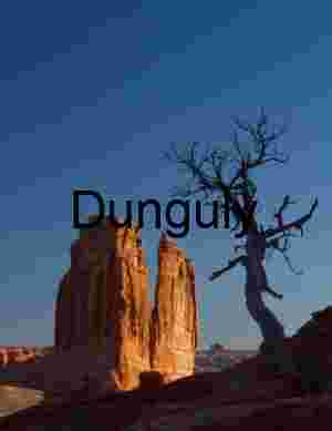Red Sandstone Monoliths and Desert Tree – Dramatic American Southwest Landscape Photography