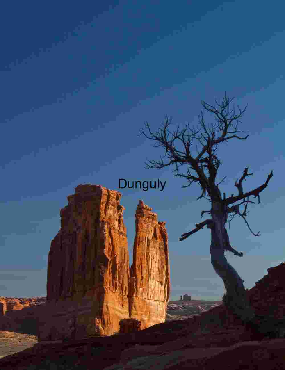 Red Sandstone Monoliths and Desert Tree – Dramatic American Southwest Landscape Photography